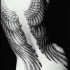 Tatuaje femenino muy impresionante las alas en toda la espalda