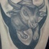 taurus toro tatuaggio nero