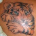 Lindo tatuaje del tigre chiquíto