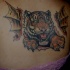Tatuaje en la espalda tigre con alas del dragón