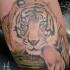 Tatuaje del tigre tumbado