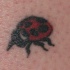 Le tatouage de minuscule coccinelle