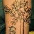 el tatuaje de un arbol con un niño en traje de rey