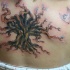 el tatuaje con un arbol con pajaros alrededor hecho en la espalda