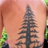 Tatuaggio grande sulla schiena il disegno in forma dell'albero