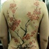 Tatuaggio colorato sulla schiena la sakura fiorita