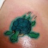 Petit tortue vert drôle le tatouage
