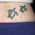Tatuaggio colorato sulla schiena due tartaruhe piccole stilizzate