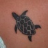 Minuscule tortue noir le tatouage