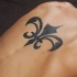 Tatuaggio grande sulla schiena il disegno in forma di giglio di Firenze