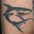 Tatuaje los animales marinos- el tiburón