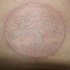 Tatuaje el árbol grande en el círculo en tinta blanca