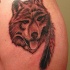 Plume et le tatouage de loup drôle