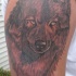 Tatouage tragique de loup aveugle sur l'épaule