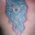 Loup bleu le tatouage sur la poitrine