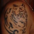 Inscription jaz avec le tatouage d'un loup brun