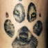 Tatuaggio carino la traccia del lupo & la faccia del lupo