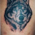 Tatouage de loup aux bons yeux