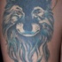 Beau loup avec le tatouage de la lune