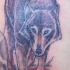 Tatuaggio colorato il lupo feroce