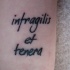 Le tatouage de poignet avec un locution latin Infragilis et tenera