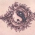 Tatuaje yin yang con dos delfines y cuadros