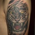 Black roaring tiger tattoo  large