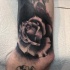 Tatuaje de rosa sola oscura en el brazo
