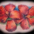 due fiori ibisco con rugiada tatuaggio da Kristof