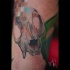 Typical colored arm tattoo of animal skull