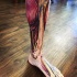 Unglaubliches buntes Fuß  und Bein Tattoo mit realistischen Knochen und Muskeln
