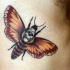 Usual colored side tattoo of butterfly with skull