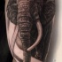 molto realistico nero e bianco massiccio elefante tatuaggio su braccio