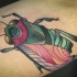scarabeo vivaci colori tatuaggio sul braccio