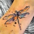 Aquarell Libelle Tattoo am Bein