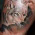 Tatuaje de lobo joven curioso en la pierna