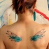 Watercolor wings by koraykaragozler