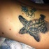bellissima tartaruga dettagliata tatuaggio sul braccio