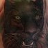 bellissimo acquerello nero pantera tatuaggio