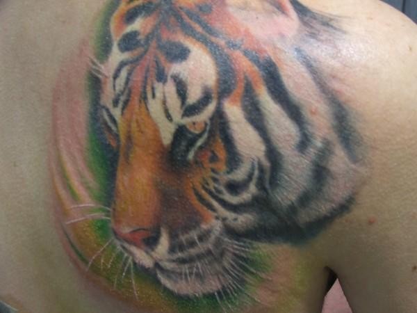 Realistic tiger face tattoo in colour