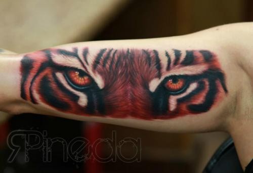 Tiger eyes coloured tattoo on the arm