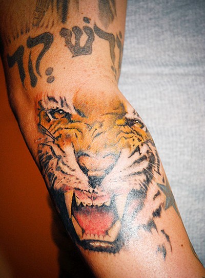 Tiger brüllt farbiges Tattoo