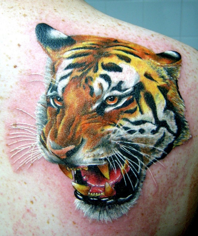 Colourful tiger tattoo by alekspunktattoos