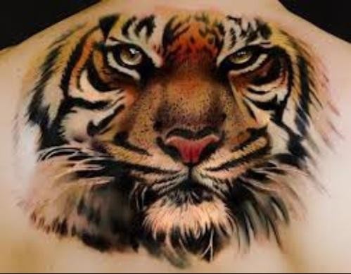 Tiger head coloured  tattoo