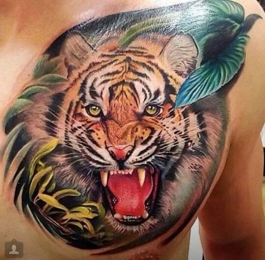 Roaring Tiger tattoo on man&quots chest