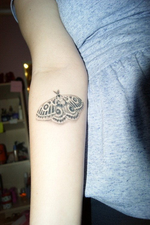 tradizionale inchiostro grigio falena femminile tatuaggio su braccio