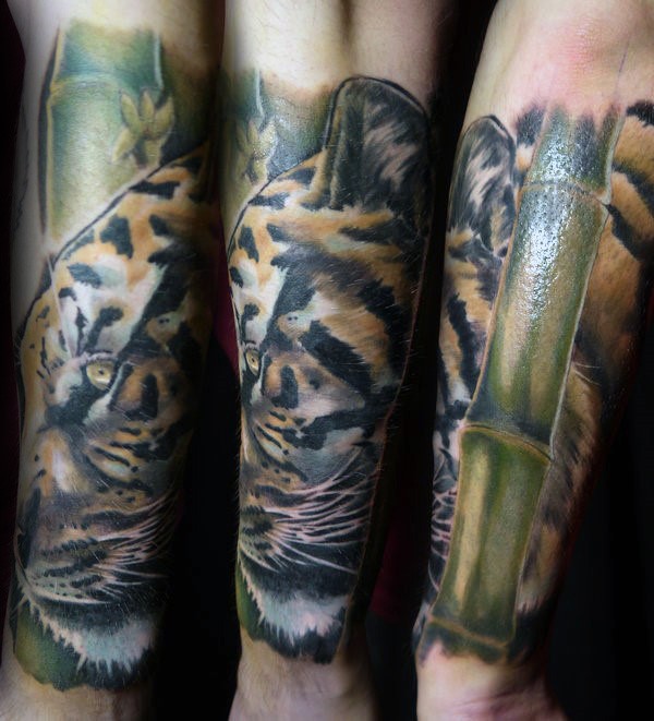 Traditionally colored tiger and bamboo tattoo on forearm in realism style