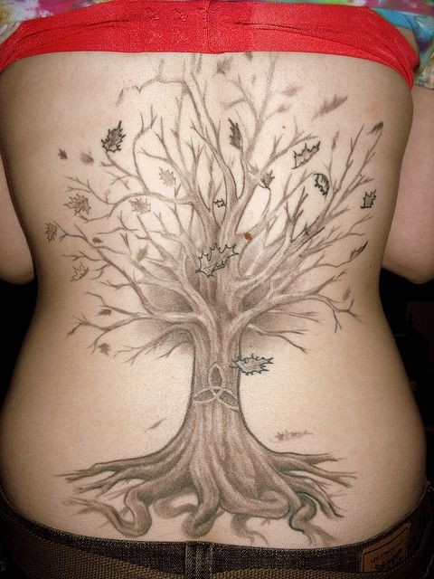 Tree and a sign of the shamrock tattoo on back