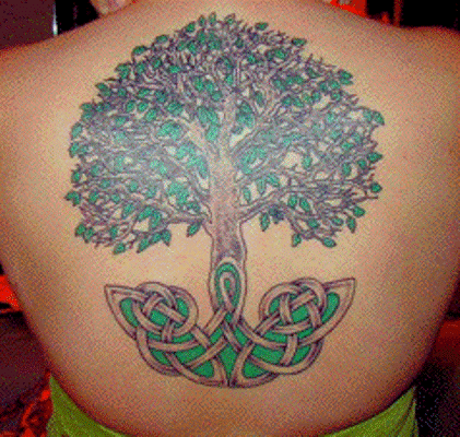 albero con modello celtico in radici tatuaggio sulla schiena