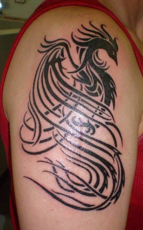 Tribal phoenix tattoo for men